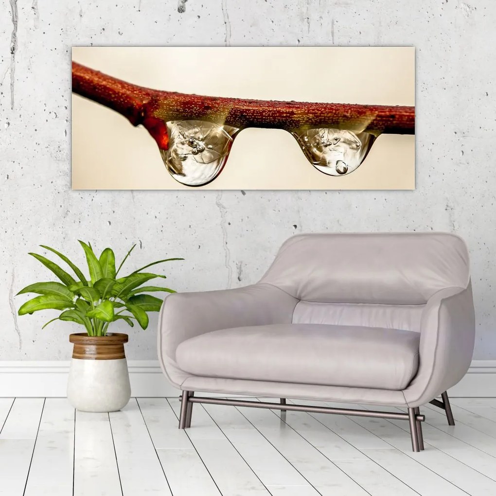 Tablou cu picături de apă pe creangă (120x50 cm)