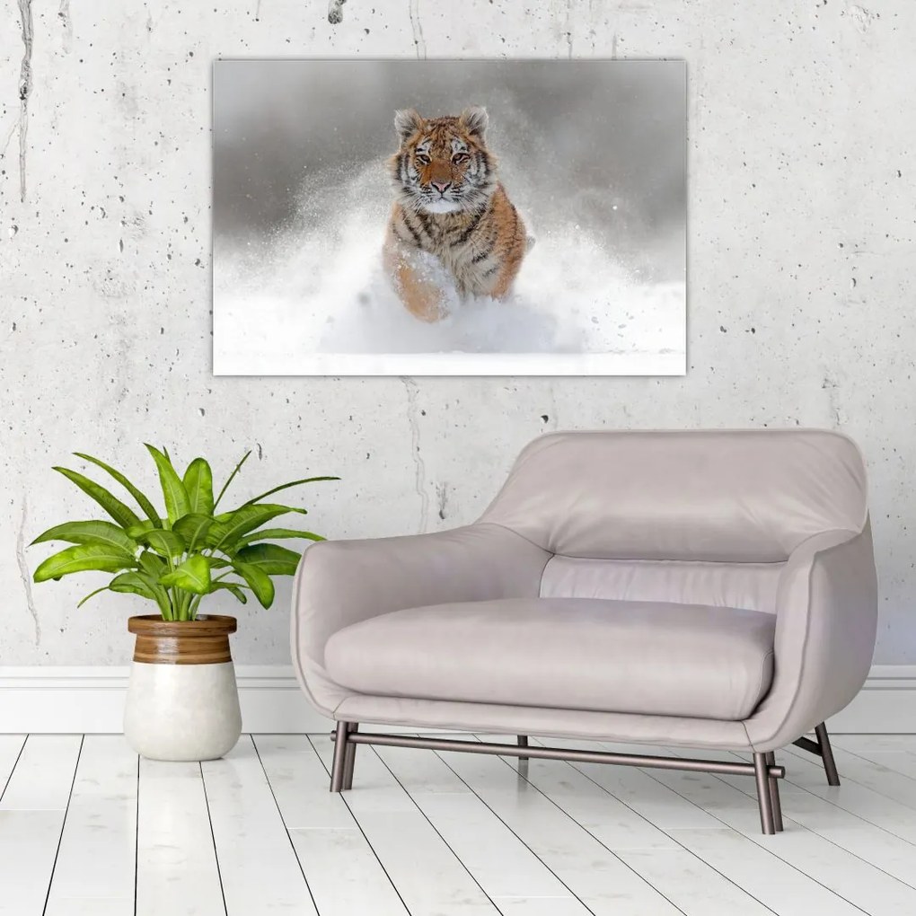 Tablou cutigru fugind prin zăpadă (90x60 cm)