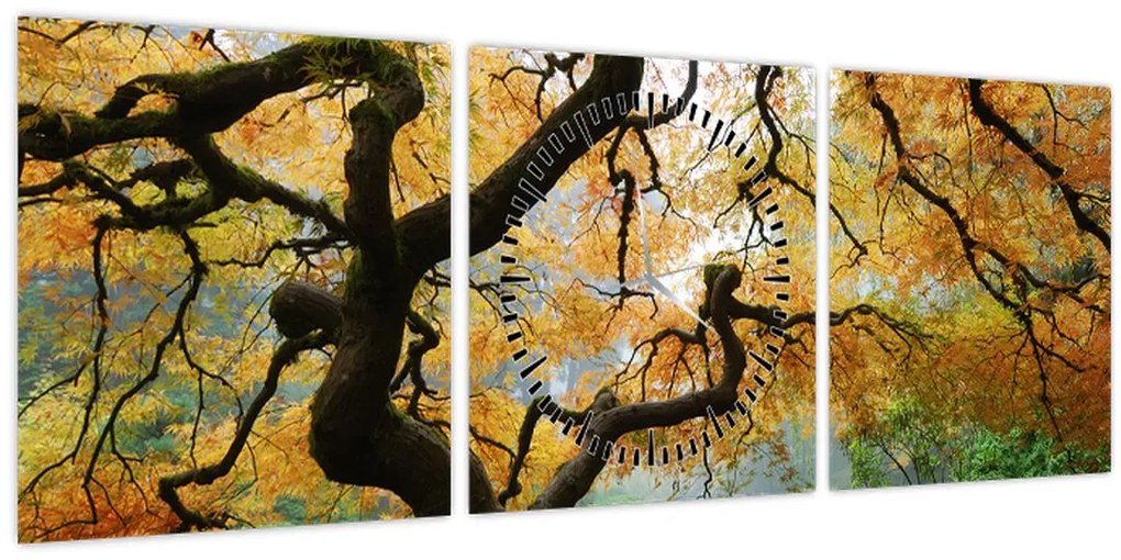 Tablou - Arțarul japonez galben, Portland, Oregon (cu ceas) (90x30 cm)