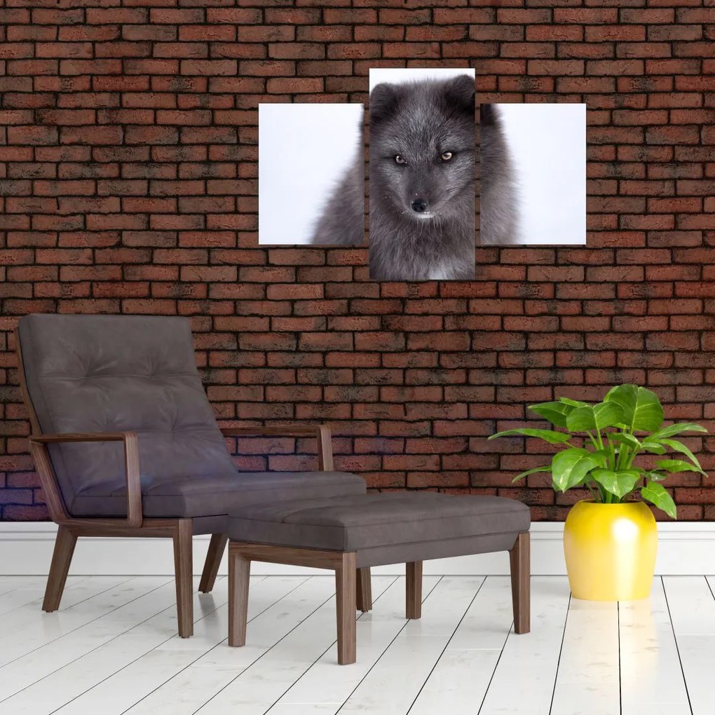 Tablou cu vulpe polară (90x60 cm)