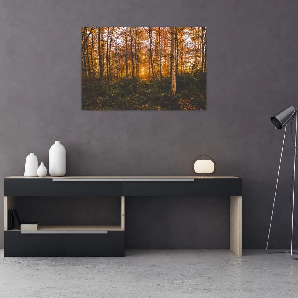 Tablou - Pădurea toamna (90x60 cm)