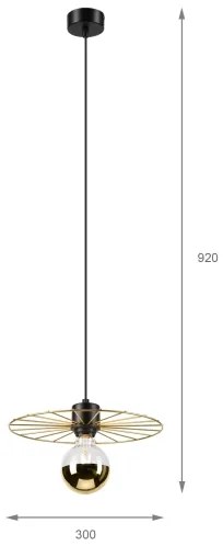 Lustră pe cablu MONTANA 1xE27/15W/230V d. 30 cm auriu/negru