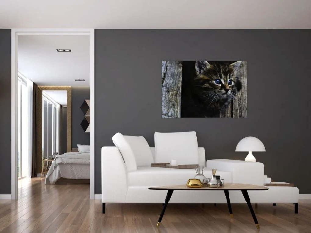 Tablou cu pisicuța (90x60 cm)