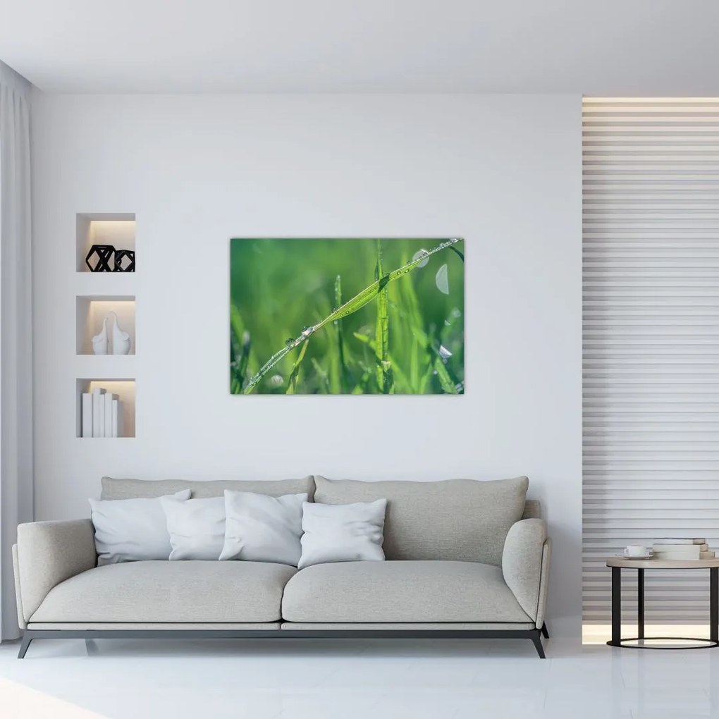 Tablou cu picături de rouă (90x60 cm)