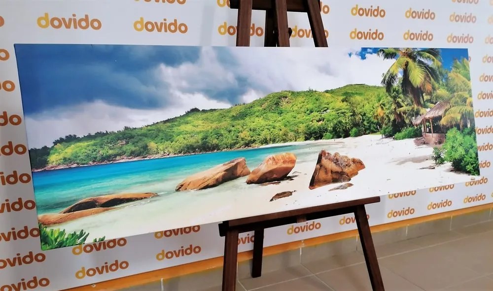 Tablou Seychelles tropical