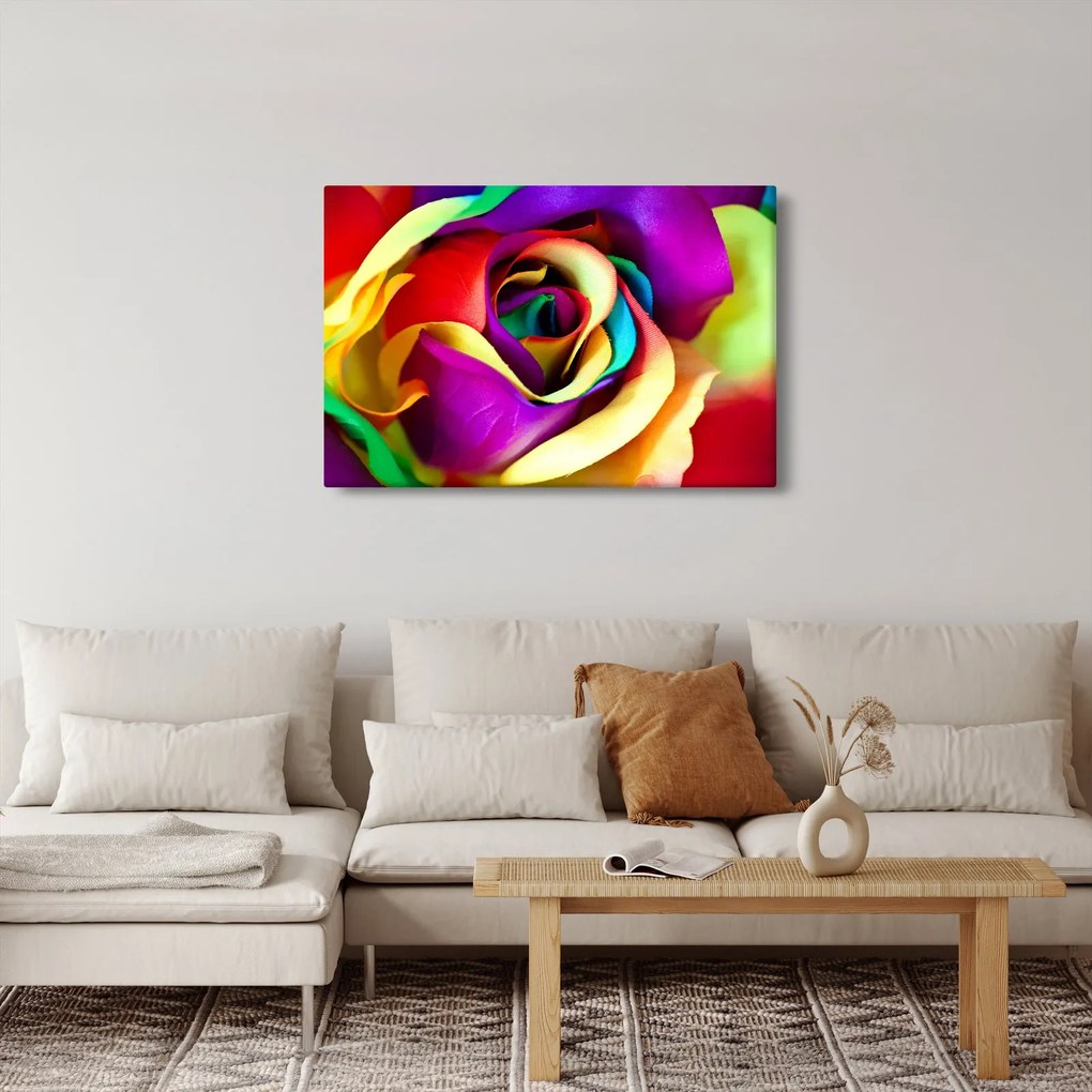 Tablou - Trandafir colorat (90x60 cm)