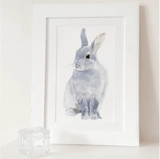 Poster Bunny A4