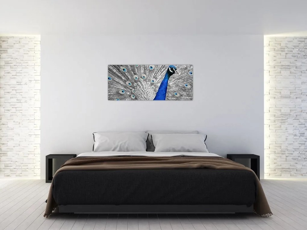 Tablou - păun albastru (120x50 cm)