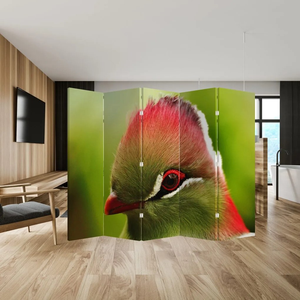 Paravan - Pasărea colorată (210x170 cm)