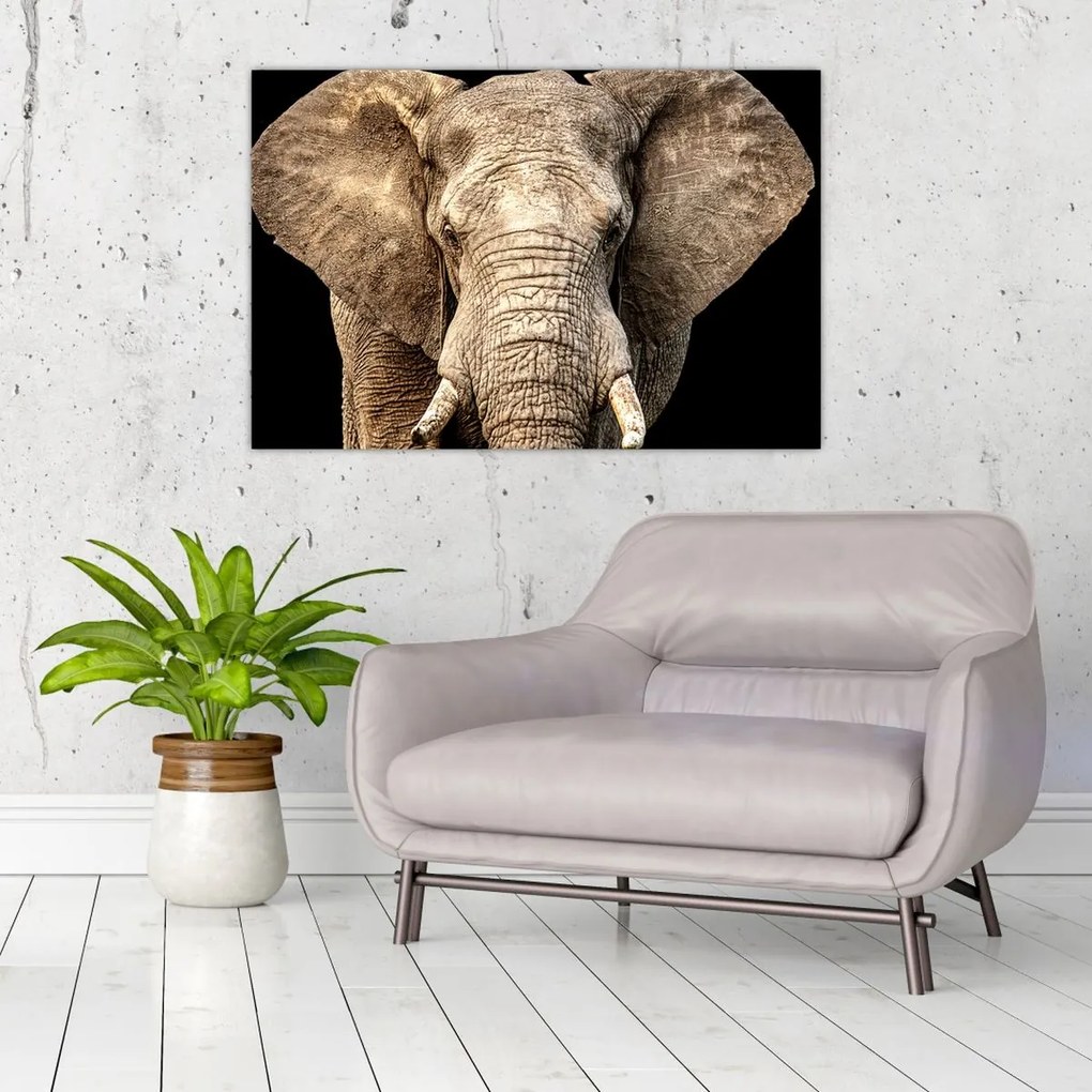 Tablou - Elefant african (90x60 cm)