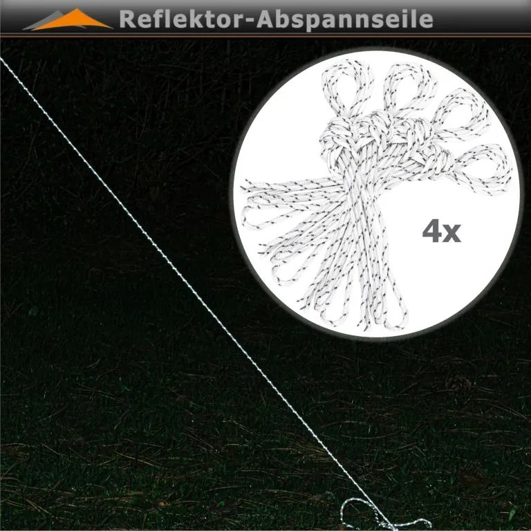 INSTENT PRO Cort de grădină  3 x 3 m, negru, 4 laturi
