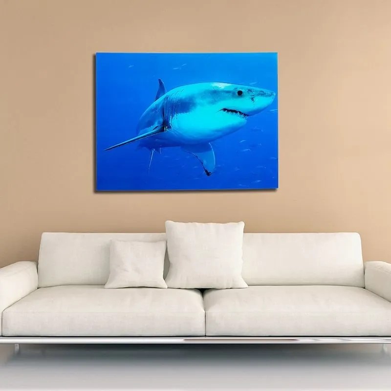 Tablou decorativ imagine imprimata pe sticla, Shark 60x80cm A-37414 VC