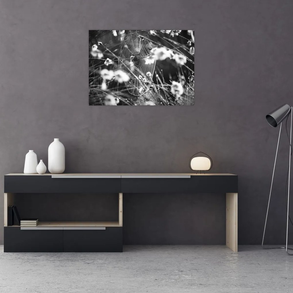 Tablou pe sticlă - Pânza de păianjen în pajiște (70x50 cm)