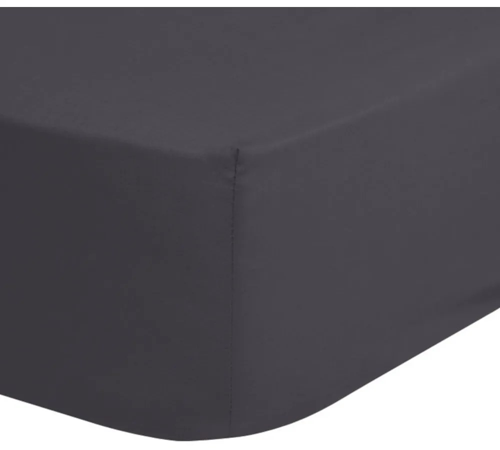 Cearșaf elastic din bumbac Good Morning, 90 x 200 cm, gri închis