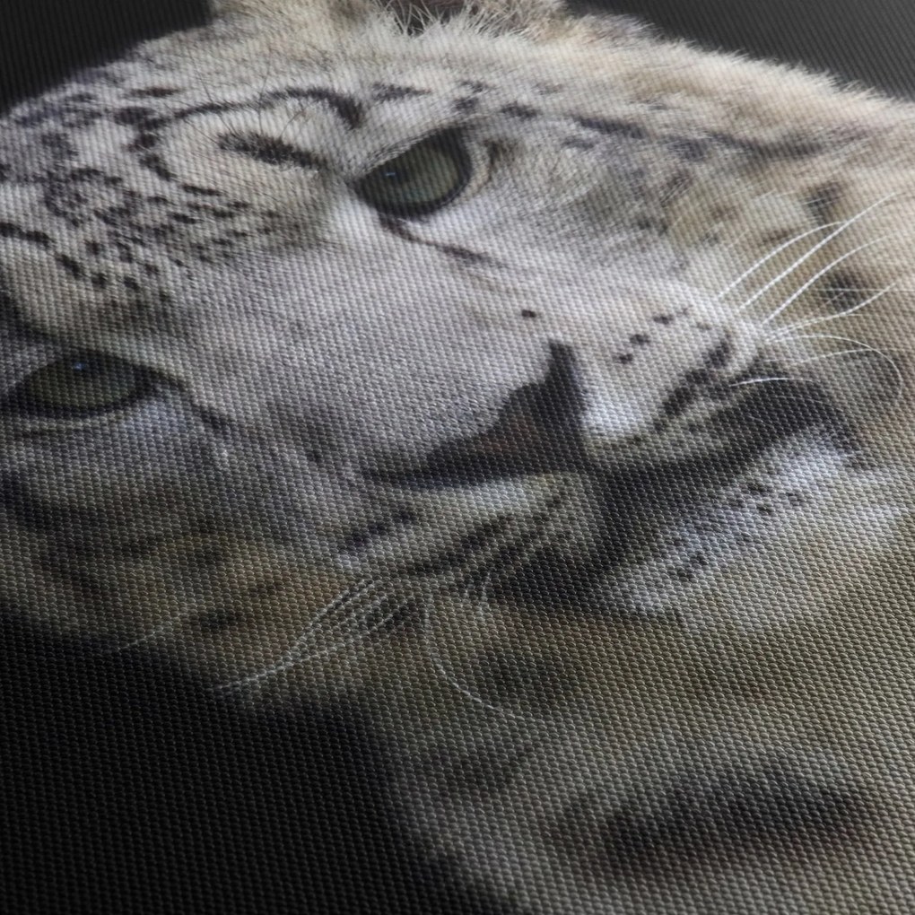 Tablou - Snow Leopard (90x60 cm)