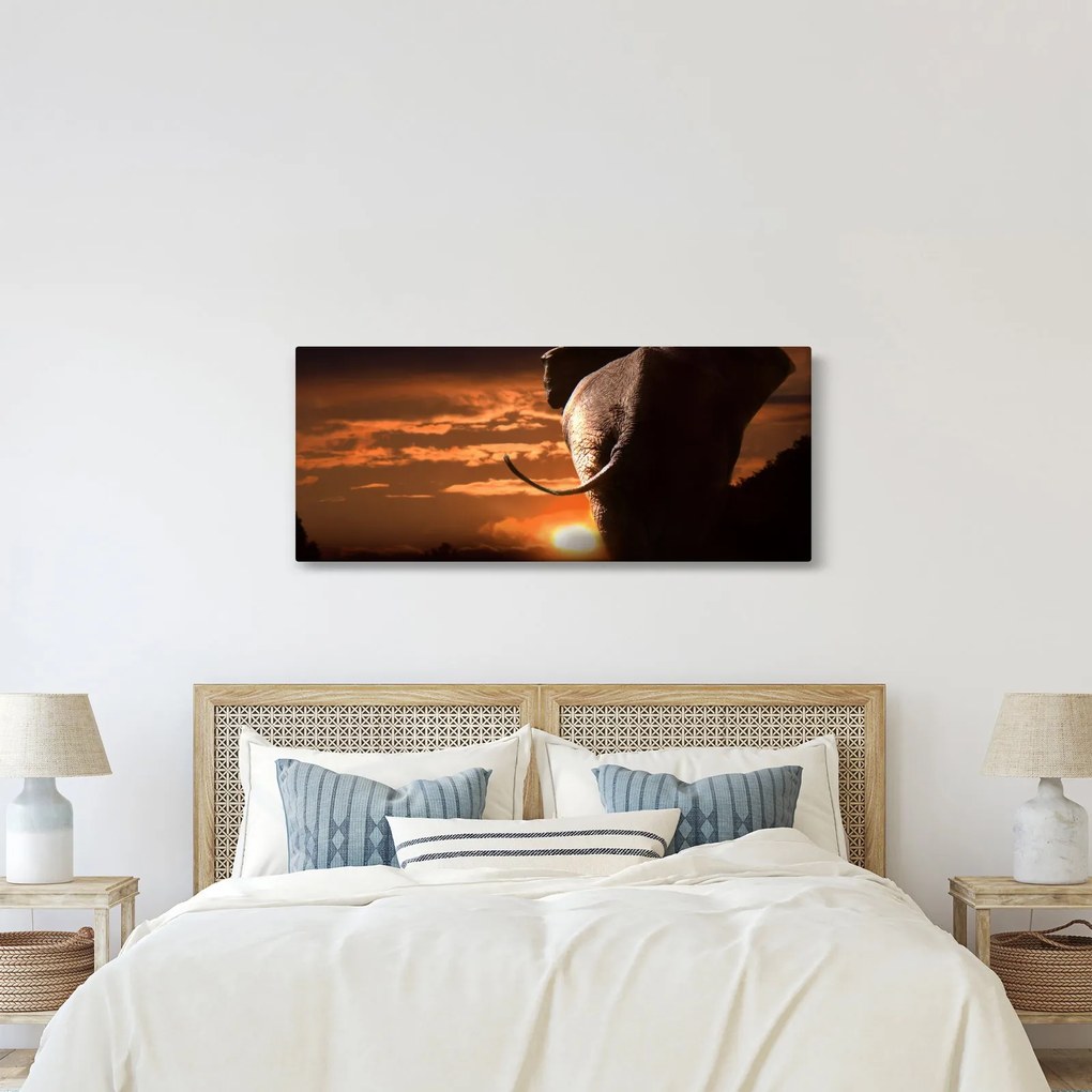 Tablou cu elefant (120x50 cm)