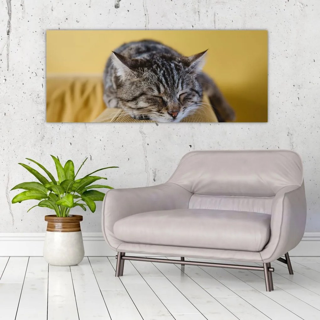 Tablou cu pisica pe fotoliu (120x50 cm)