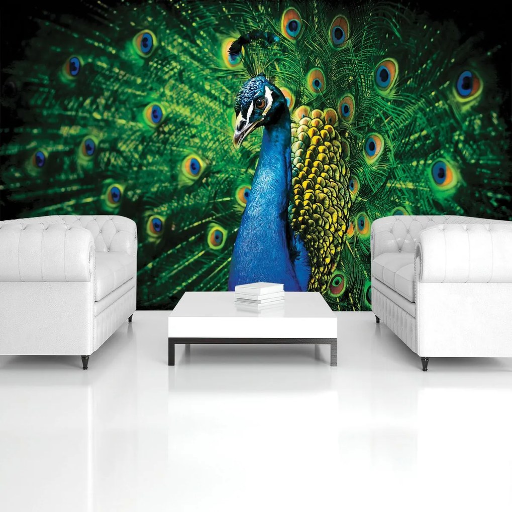 Fototapet - Păun (152,5x104 cm)