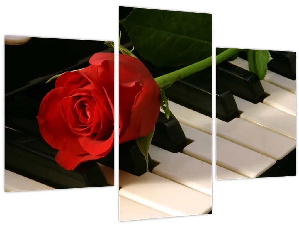 Tablou - Pian și trandafiri (90x60 cm)