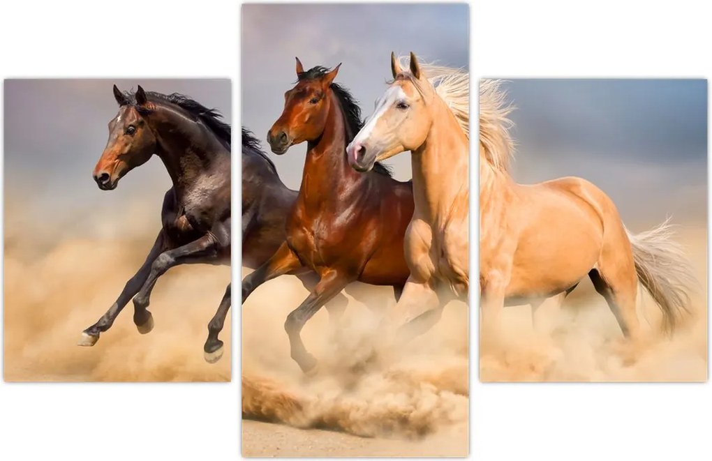 Tablou - Cai sălbatici (90x60 cm)