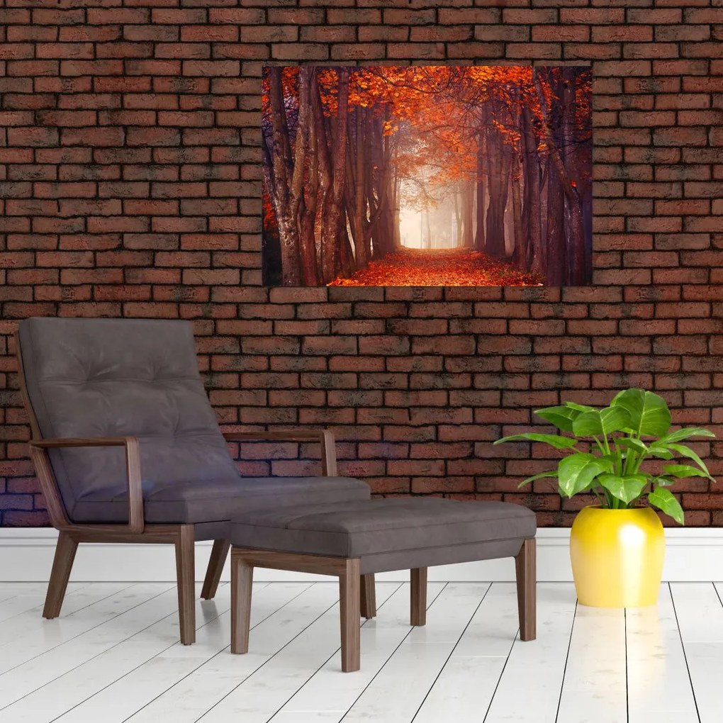 Tablou - Pădurea de toamnă (90x60 cm)