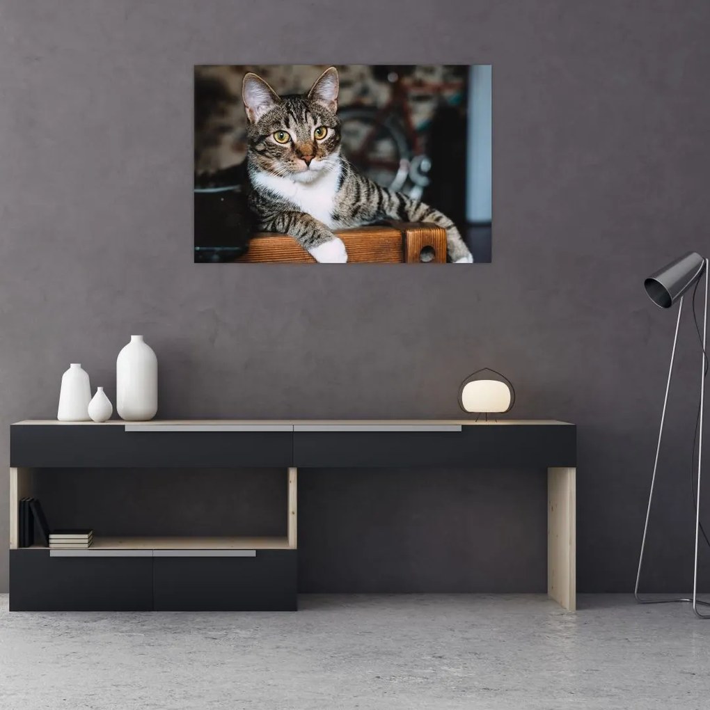 Tablou cu pisica (90x60 cm)