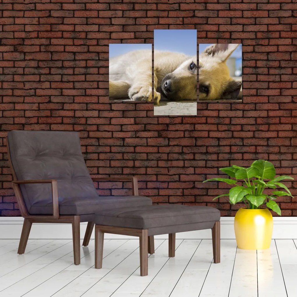 Tablou cu cățeluș dormind (90x60 cm)