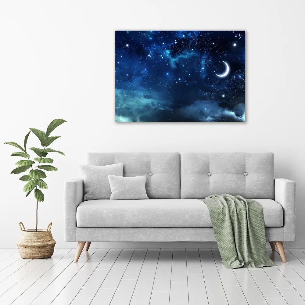 Tablou pe pânză canvas Cer înstelat