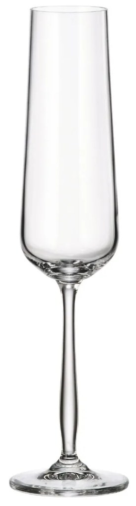 Set 4 pahare sampanie 215ml, Gourmet