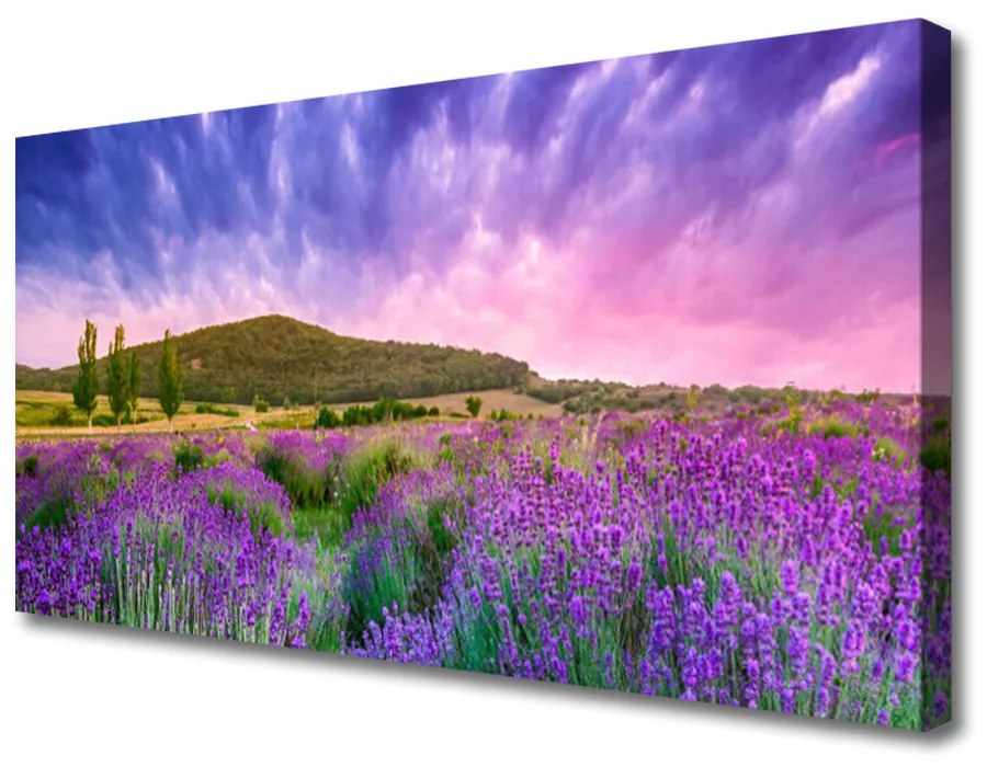 Tablou pe panza canvas Meadow Munții Flori Natura Verde Violet Albastru Roz