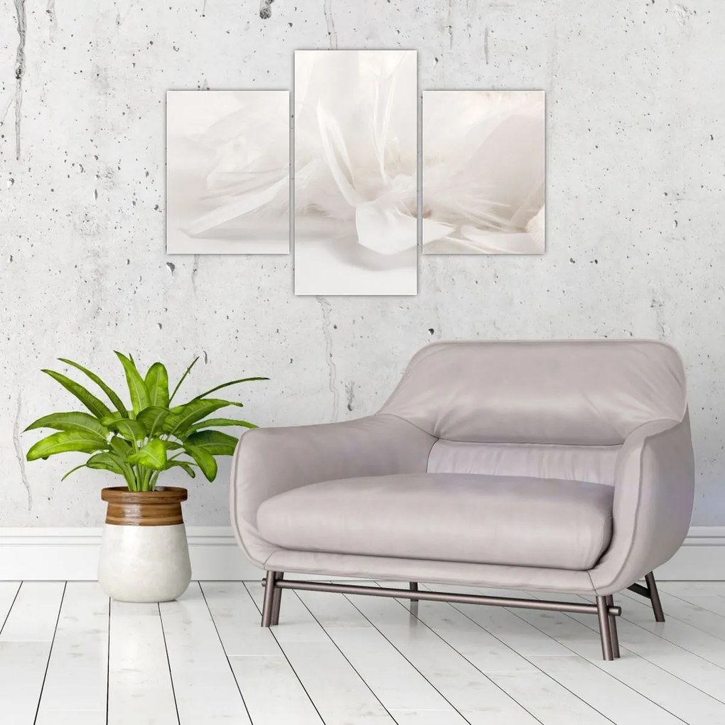 Tablou - Pană (90x60 cm)