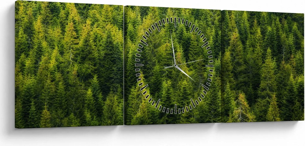 Tablou - Pădure deasă (cu ceas) (90x30 cm)