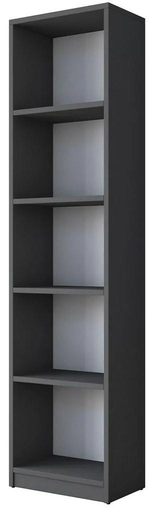 Bibliotecă Hale Anthracite