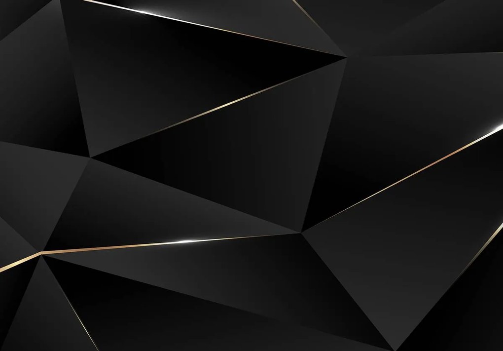 Fototapet - Împărțire geometrică neagră (254x184 cm)