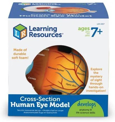 MODEL SECTIUNE - OCHIUL - LEARNING RESOURCES (LER1907)