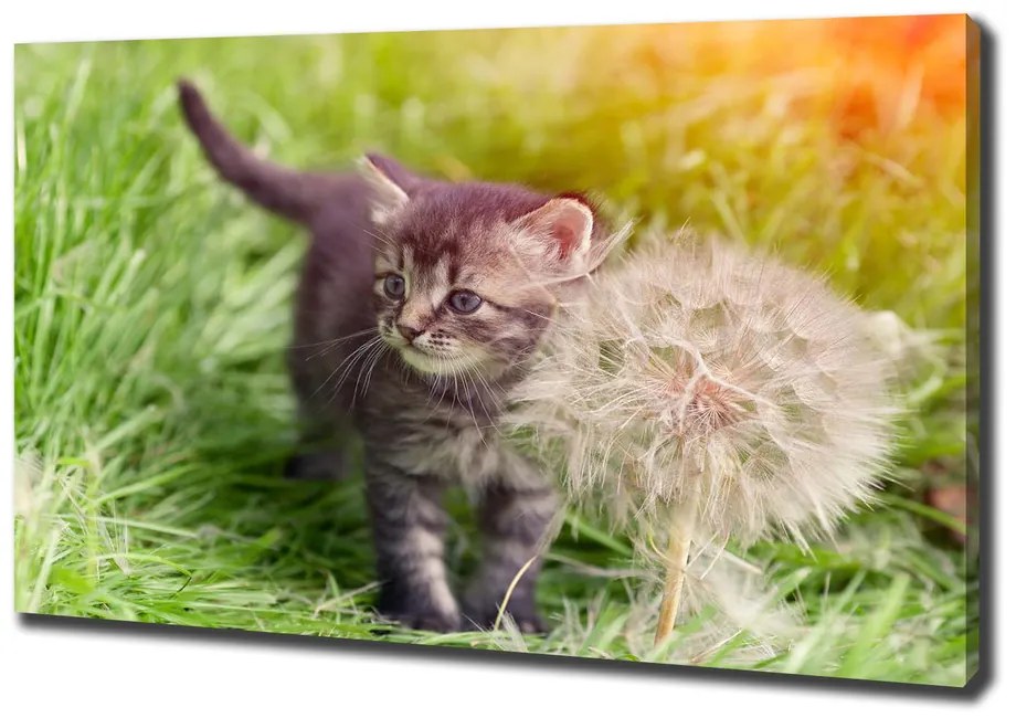 Pictură pe pânză Pisoi cu păpădia