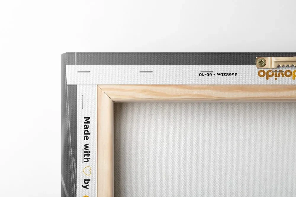 Tablou iarbă din bumbac în design alb-negru
