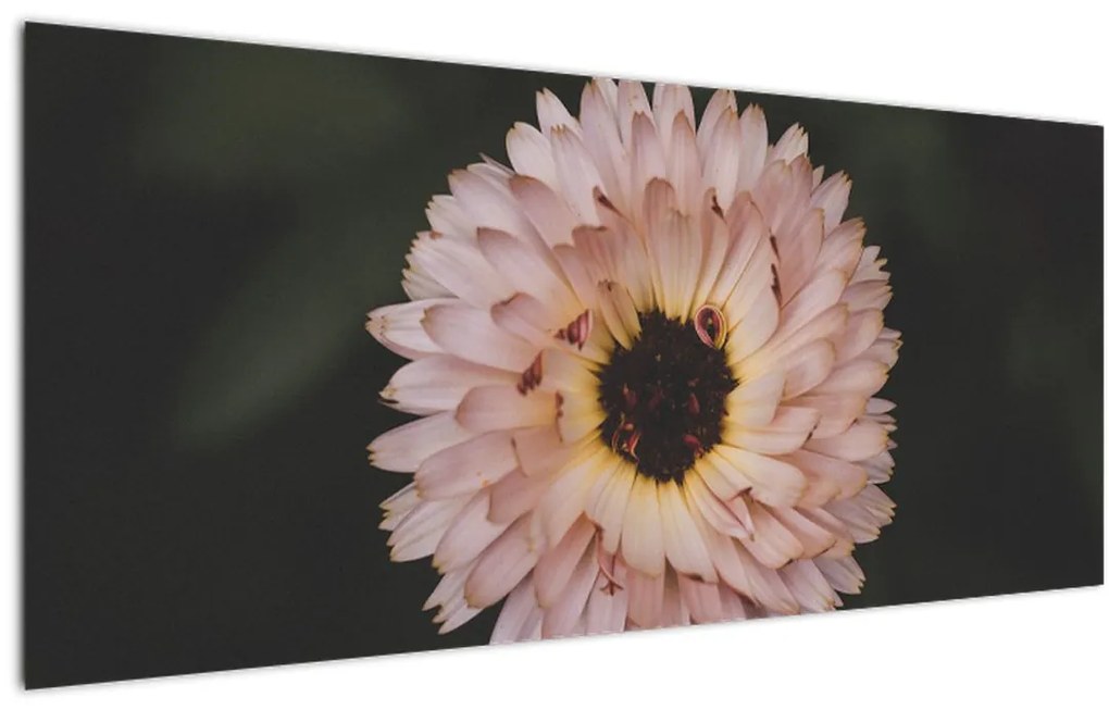 Tablou cu floare portocalie (120x50 cm)