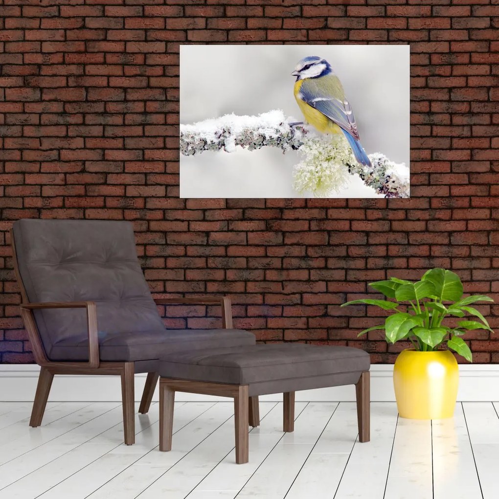 Tablou - Tit albastru în pădure (90x60 cm)