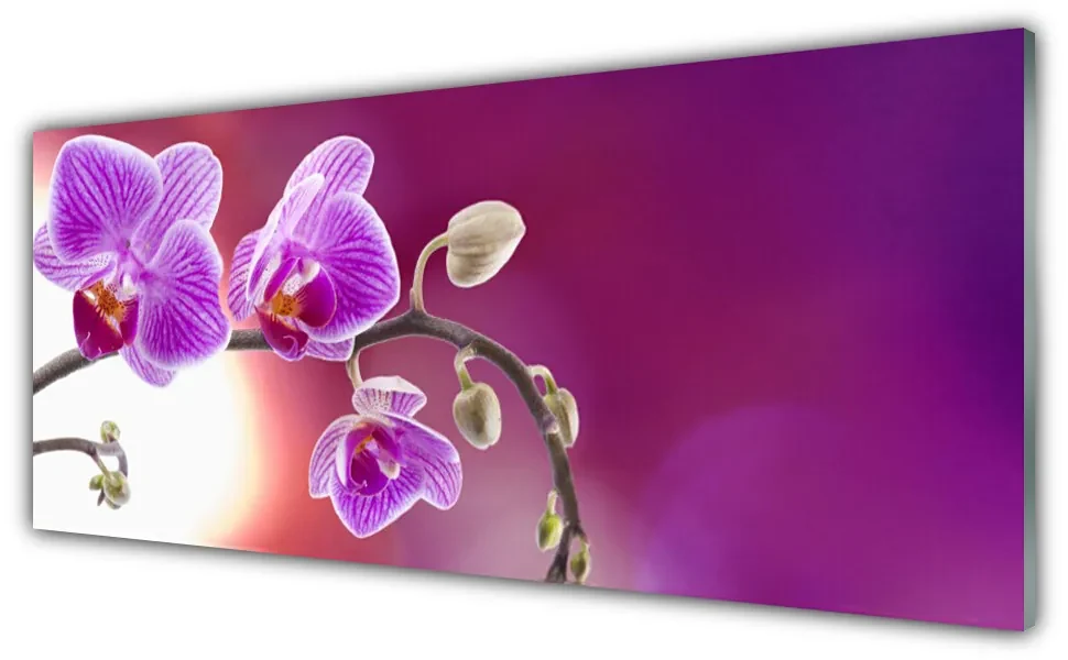 Tablouri acrilice Flori roz Floral