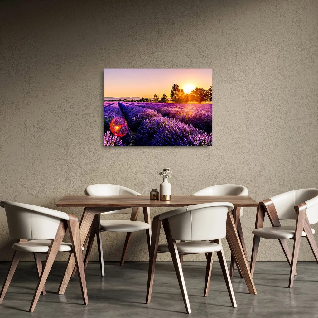 Tablou pe sticlă cu câmp de lavandă (70x50 cm)