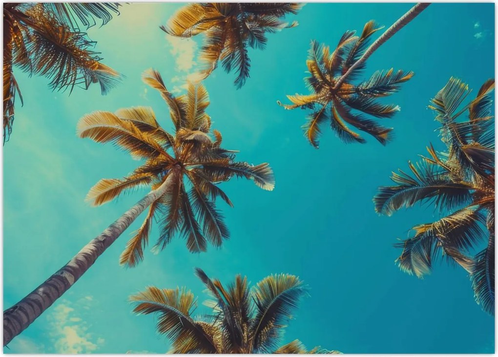 Tablou - Palmieri înalți (70x50 cm)