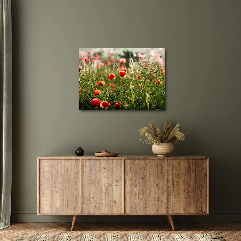 Tablou cu maci (70x50 cm)