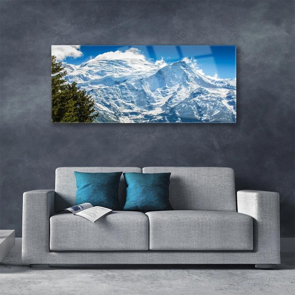 Tablou pe sticla Peisaj de munte copac Albastru Alb Verde