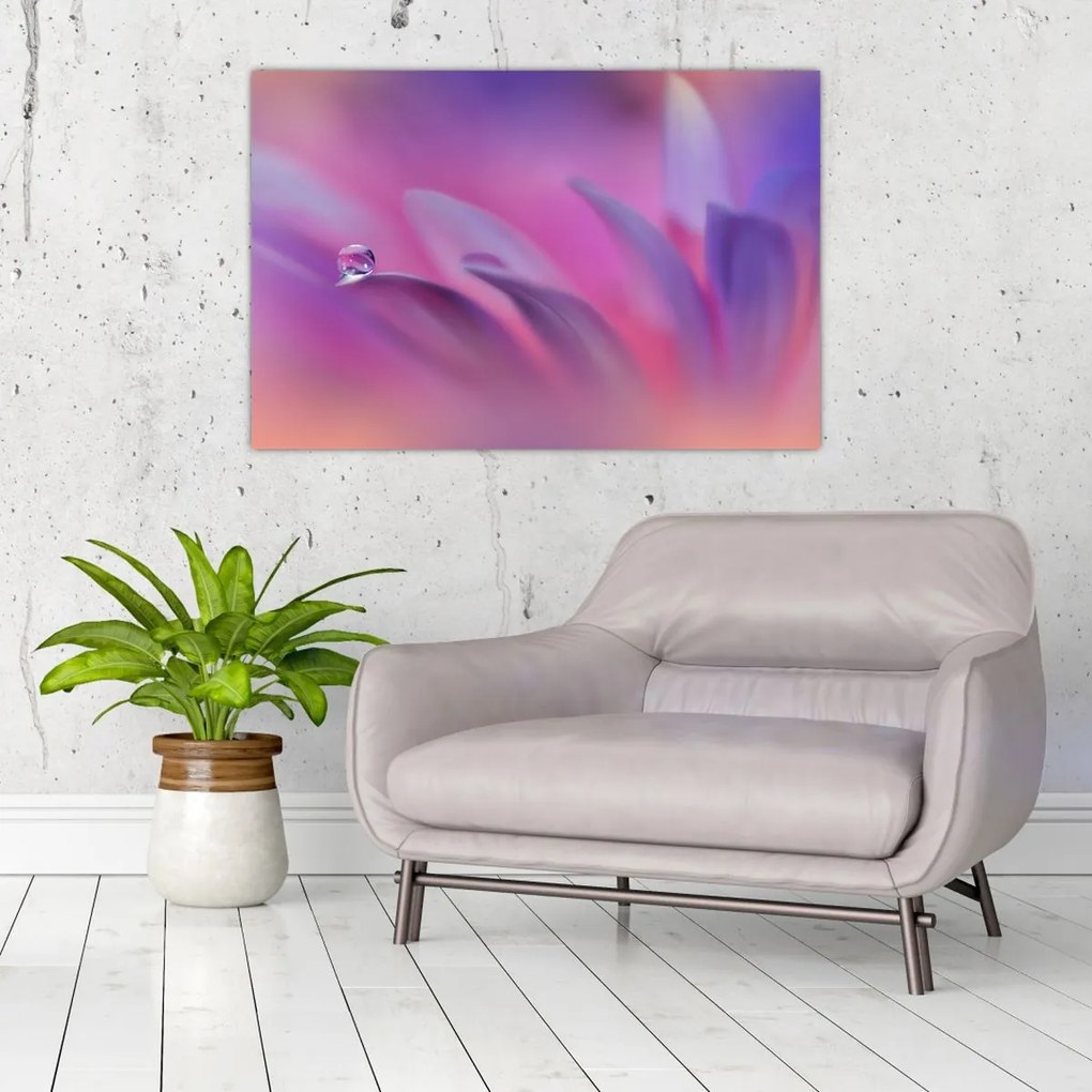 Tablou - Picătură pe floare (90x60 cm)