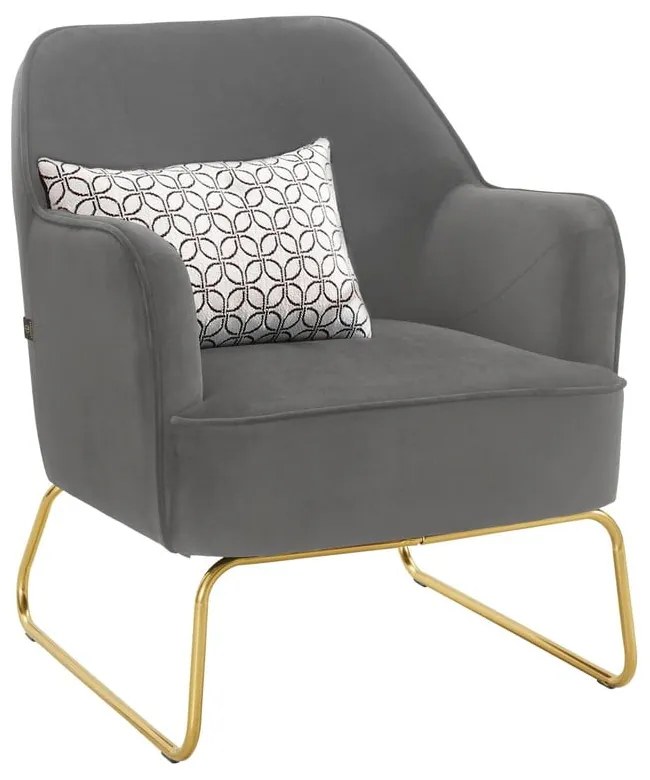 Fotoliu gri cu tapițerie din catifea Joshua - Støraa