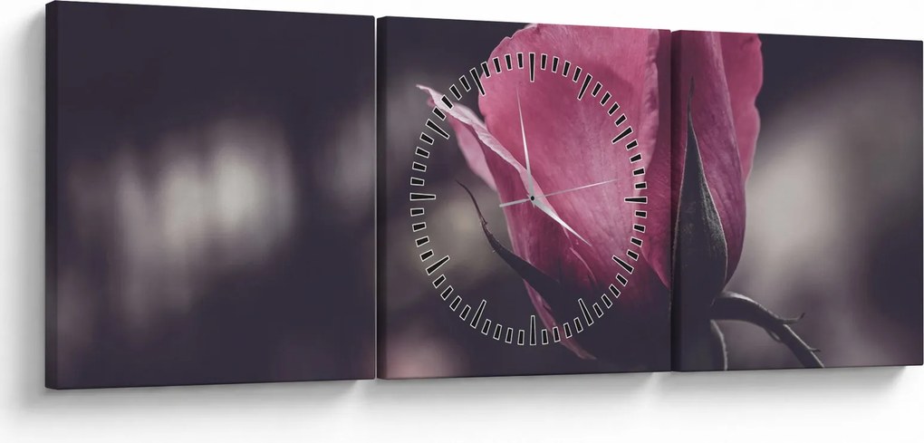 Tablou - Detaliu florii de trandafir (cu ceas) (90x30 cm)