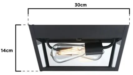 Plafonieră de exterior Westinghouse 61219 PETERSON 2xE27/40W/230V IP44