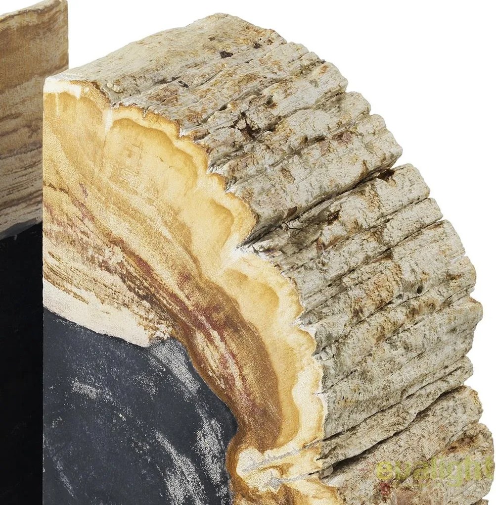 Suport de carti din lemn pietrificat LUX Opia 112446 HZ