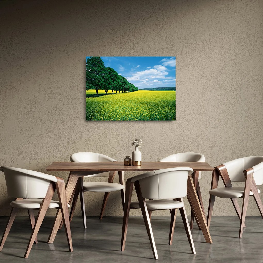 Tablou pe sticlă - Câmp cu alei (70x50 cm)